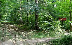 Rezerwat Tysiąclecia na Cergowej Górze